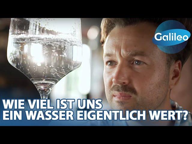 Quellwasser, Mineralwasser, Heilwasser: Was macht gutes Wasser wirklich aus?