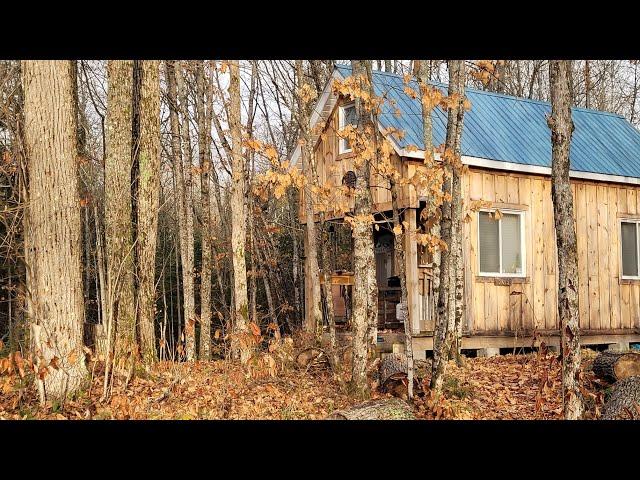 Off Grid Cabin: Fall Frustration