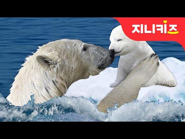 북극곰의 눈물 #1 | 북극의 얼음이 녹고 있어요 | 지구온난화 예방 실천방법 | 환경 동화지니키즈