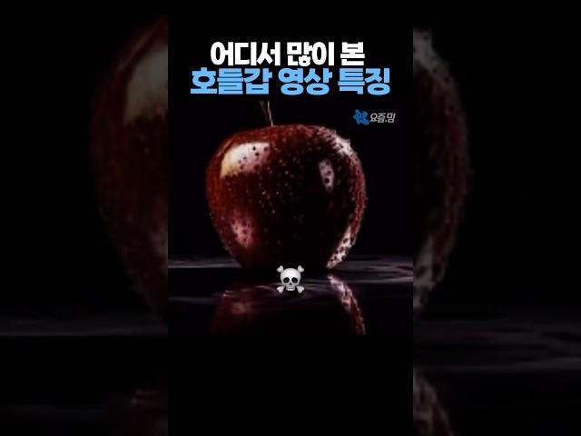 어디서 많이 본 '호들갑 영상' 특징 ㅋㅋㅋ
