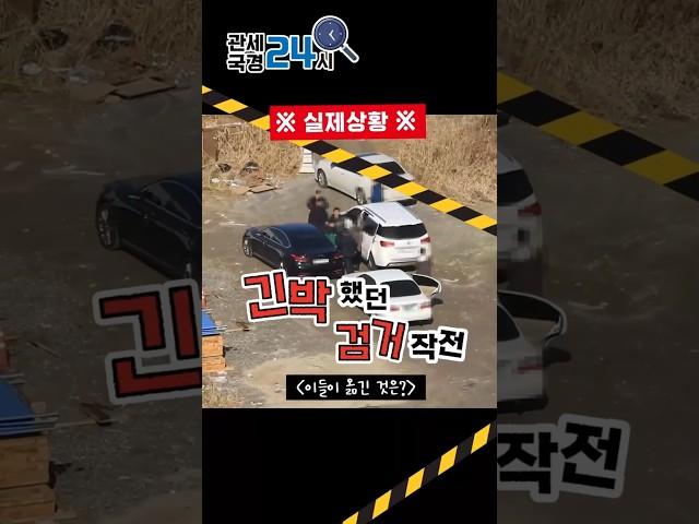 이들이 옮긴 것은?