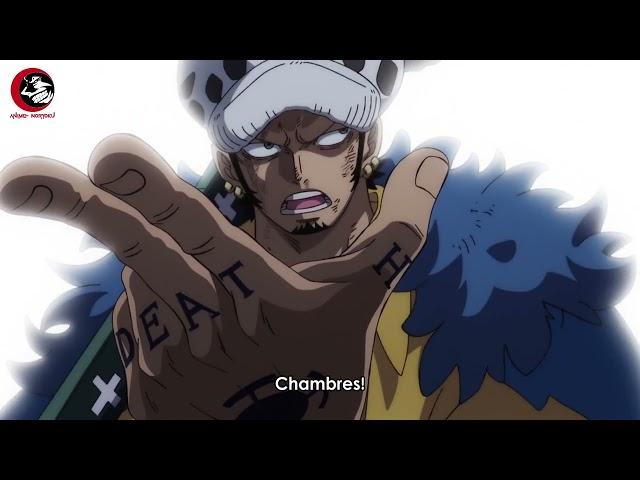 Room Chambres |Trafalgar D. Water Law-One Piece Ep1022