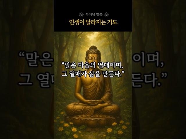 인생이 달라지는 기도, 아침에 이 세 마디만 하세요｜부처님 말씀 | 마음치유 | 하루의시작 | 아침루틴 | 말의힘 | 아침기도