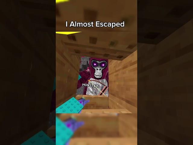 I Almost Escaped #gorillatag #gorillatagglitch #skit #funny #funnyviral