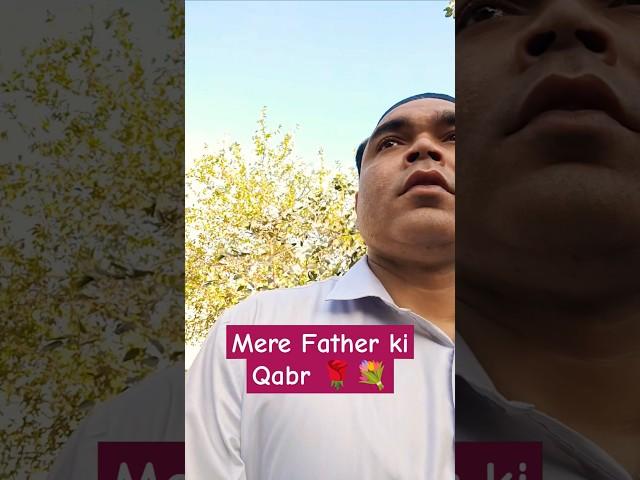 Miss You Bauji  #tariqnayyar500 #eid #qabr #father #missyou #bauji #sameerabbasi500 #shorts