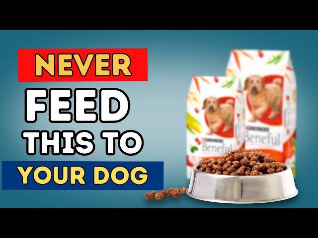 What Dog Food Do Vets NEVER Feed Their Pets? (The Surprising Truth)