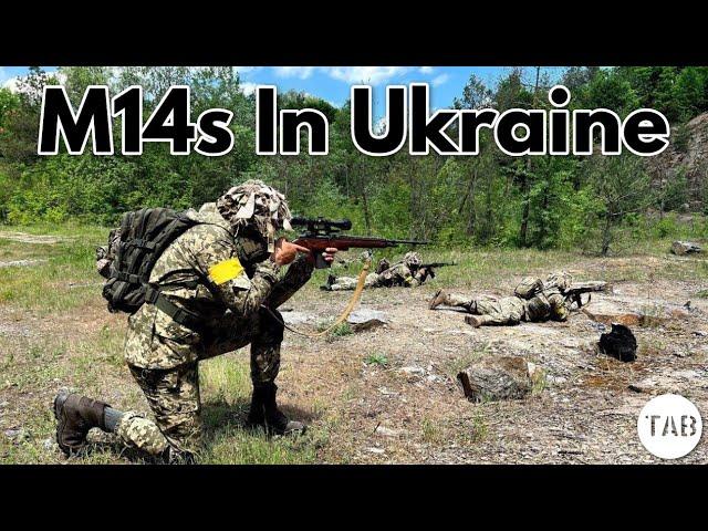 M14 In Ukraine