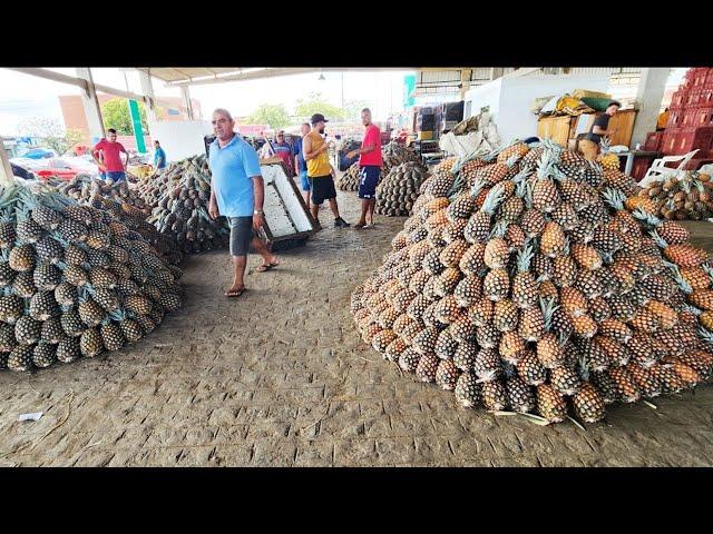 ABACAXI DE 1 REAL E COM FARTURA SÓ NO NORDESTE!