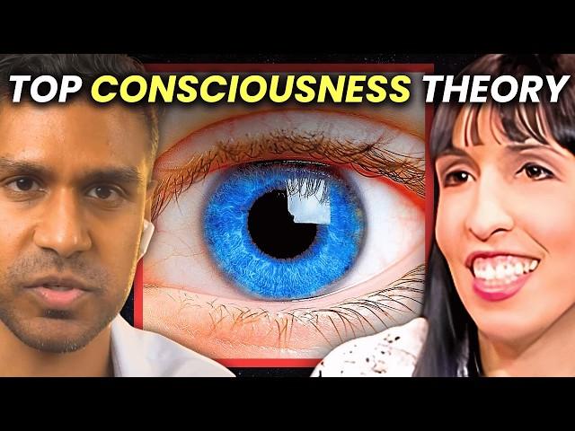 Consciousness Was INVENTED In the 1600s