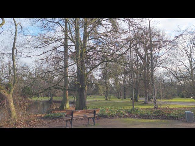 Volksgarten - MotionCam S20 FE 4K RAW HDR