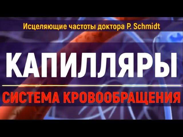 Исцеление сосудов и капилляров  Лечебные частоты для здоровья сердца и мозга