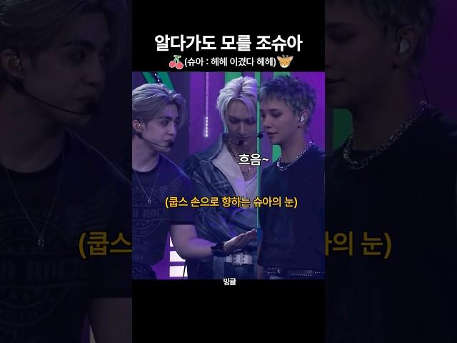[세븐틴/쿱스/슈아] 가위바위보는 국룰이지