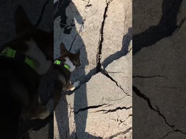 Some of the Flash flood damage in Caliente ,California   Aug 2023 @BeckysFunnyFarm