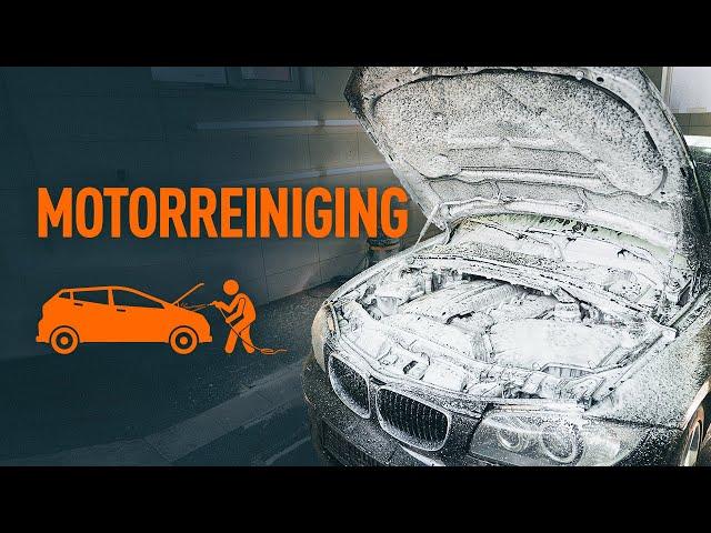 5 veel gemaakte fouten bij het wassen van de motor | AUTODOC tips