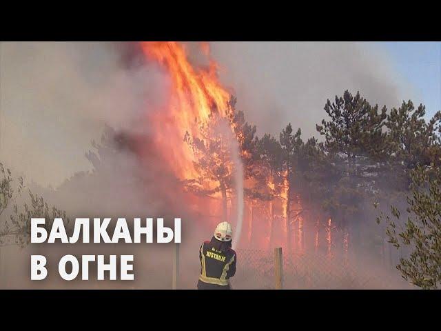 Албания, Хорватия, Болгария и Северная Македония борются с огнём в пик туристического сезона