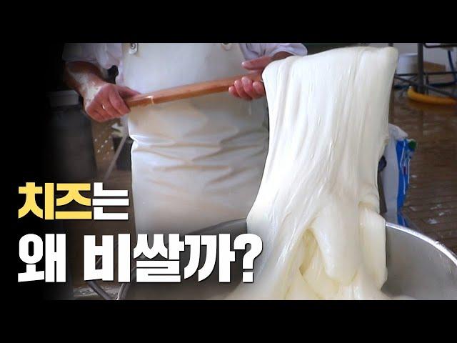 치즈가 비싼이유 알고계세요?