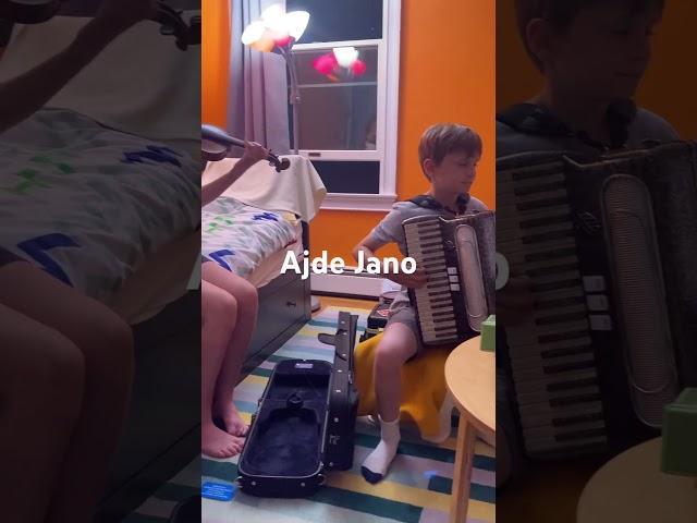 Ajde Jano snippet. #serbianmusic #balkanmusic #accordion #narodnamuzika