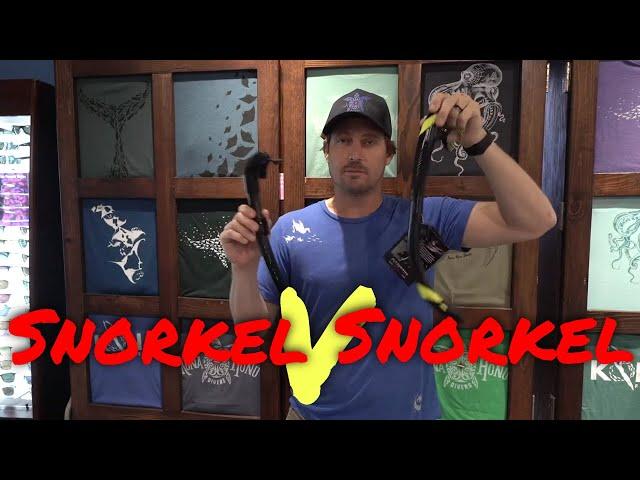 Kona Dive Shops - Snorkel V Snorkel  | Kona Honu Divers