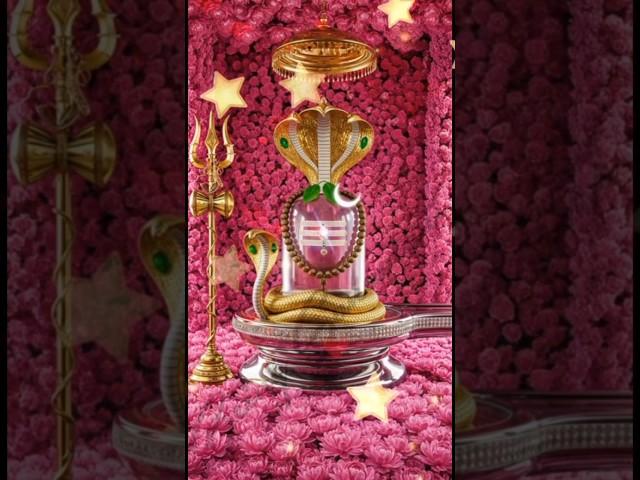 Shiva Shiva Shankara #song #devotional#bhakti#harharmahadev #ytshorts #ytstudioes #trending #