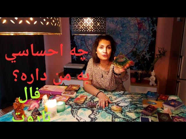 مي خواي بدوني كه چه احساسي بهت داره؟ *Farsi Tarot