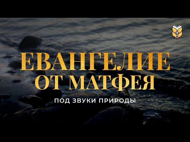 Евангелие от Матфея под звуки природы. Современный перевод Библии #biblevision