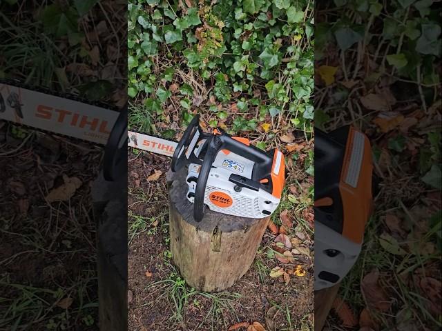 Stihl 194t Running #chainsaws