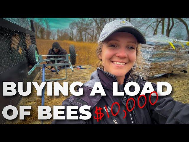 The EASIEST Way To Move Beehives WITHOUT A Forklift: This Tool Changes EVERYTHING! #beekeeping