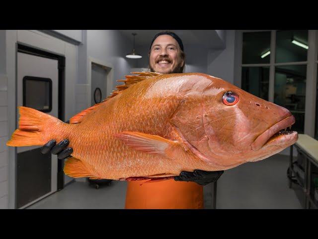 The Reason Dog Snapper Got Its Name