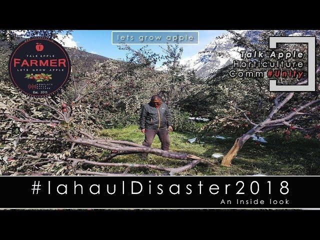 Lets Grow Apple | Lahaul Disaster 2018 - An inside Look | #lahauldisaster2018