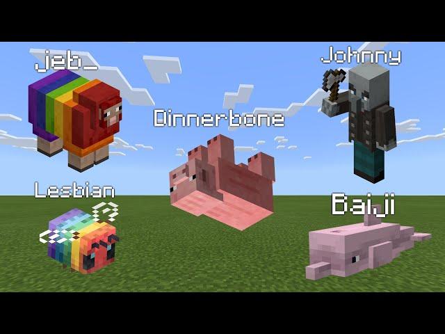 All Nametag Easter Eggs in Minecraft