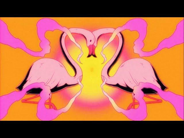 Flamingosis - Nebula Gazer (Visualizer)