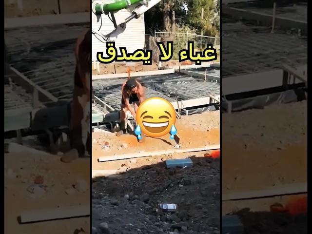 لن تصدق أنهم فعلا أغبياء حتى تشوف الفيديو