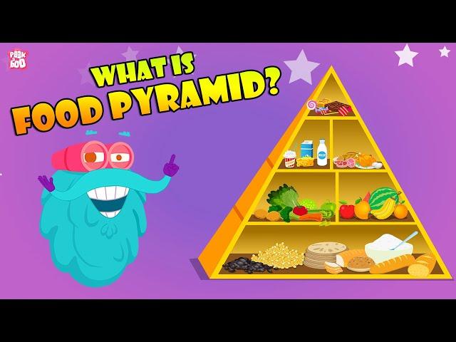 FOOD PYRAMID | How Different Foods Affect Your Body | The Dr Binocs Show | Peekaboo Kidz