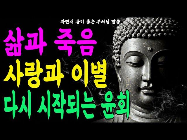 삶과 죽음, 업과 자비에 대한 깊은 이야기 #부처님말씀 #부처님의가르침 #석가모니인생조언 #불교가르침 #불교오디오북 #불교명상