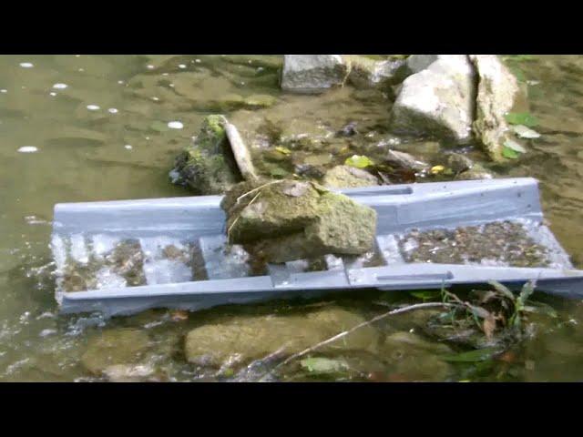 Gold Panning Picnic in a Carpathian River