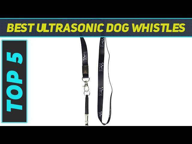 Top 5 Best Ultrasonic Dog Whistles in 2023