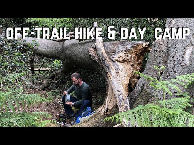 Off-trail Hike & Forest Day Camp | British Army MRE | BCB Fire Dragon Stove | Alpkit Clip