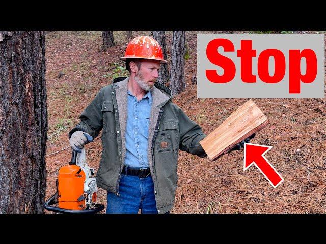 6 Reasons to Stop Taking Wood From the Forest