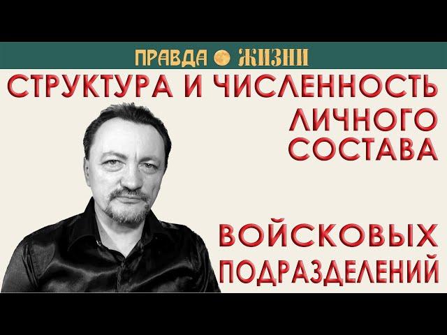 Сколько человек в роте, взводе, отделении