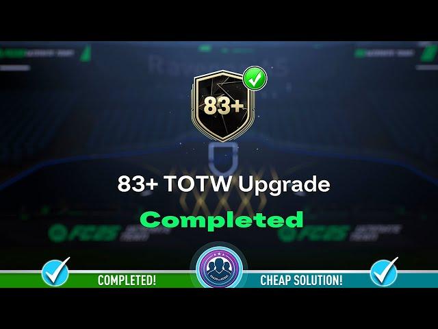 83+ TOTW Upgrade SBC Pack Opened - Cheap Solution & SBC Tips - FC 25