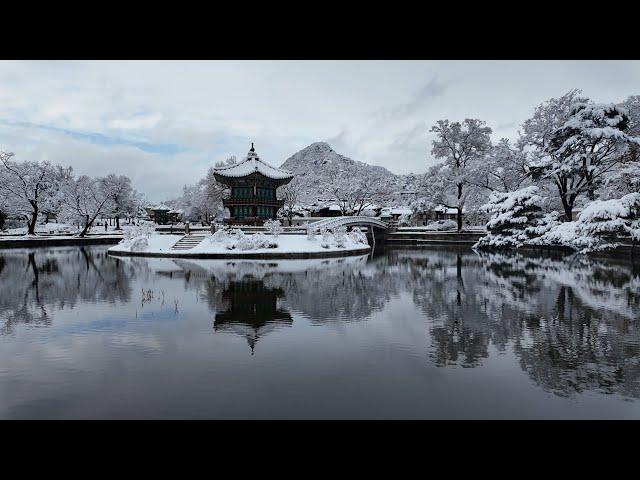 (4K)외국인들도 감동한 경복궁의 멋진 설경, 서울 첫눈 오는 날 수많은 외국인들(Gyeongbokgung Palace, the first day of snow in Seoul)