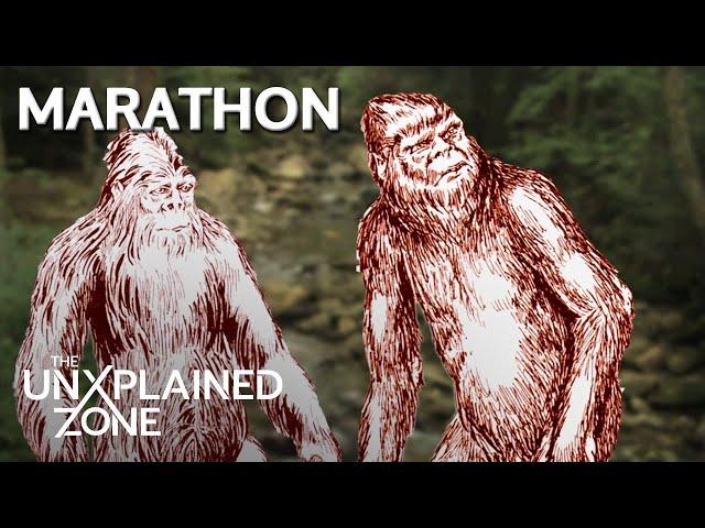 3 TIMES BIGFOOT WAS CAUGHT ON CAMERA *Marathon* | MonsterQuest | The UnXplained Zone