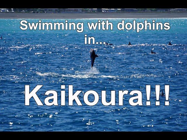 Kaikoura and South Brighton!