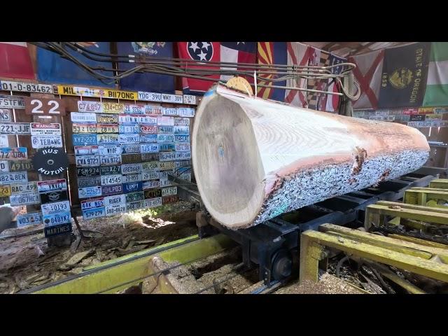 Sawing the biggest white oak log that we ever sawed on this mill # 623