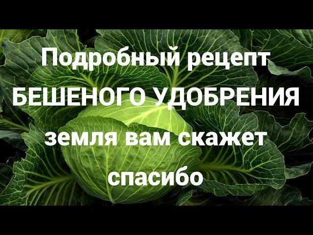 БЕШЕНОЕ удобрение для Осенней Обработки ЗемлиФузариоз всюду