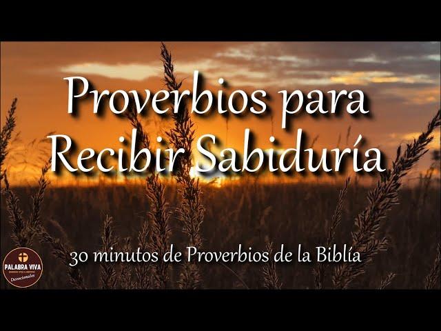 Proverbios para recibir sabiduría de parte de Dios | Biblia hablada | Bible audio