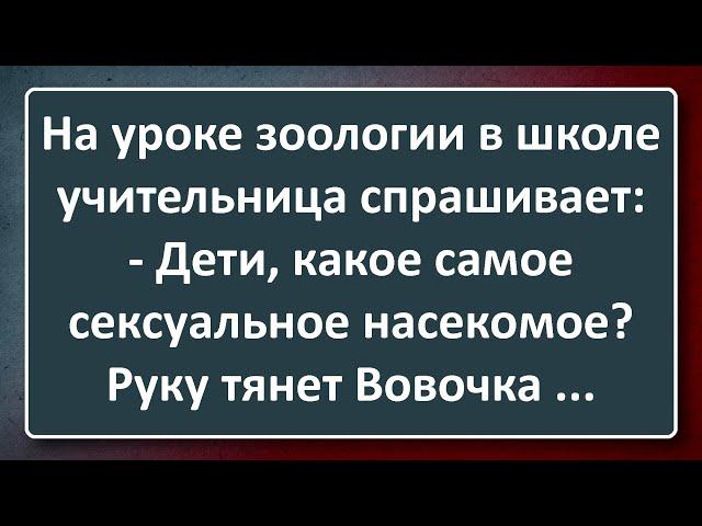 Вовочка и Самое С@ксуальное Насекомое! Сборник Анекдотов Синего Предела №193