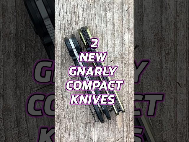 2 New Gnarly Compact Pocket Knives! #edc #shorts #knife #blade