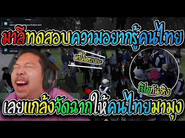 มาลี สวยมาก เมื่อมาลีทดสอบความอยากรู้ของคนไทยเลยแกล้งมีเรื่องให้คนไทยตามมางานนี้มากันลึ่ม! I GTA V