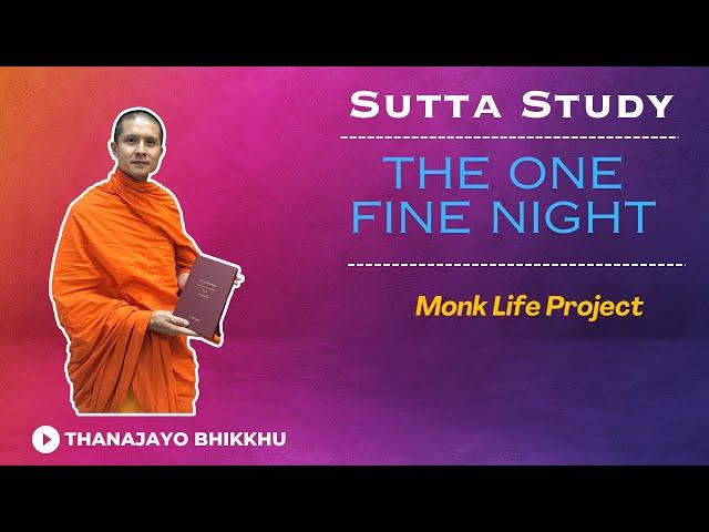 The One Fine Night-Bhaddekaratta Sutta (MN131) | Thanajayo Bhikkhu | 29 July 2024